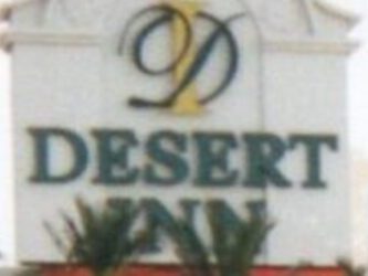The Vegas Cup